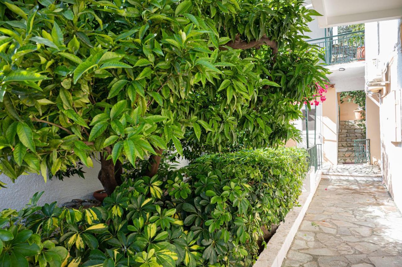Villa Sofia Sea View Poros Town Extérieur photo